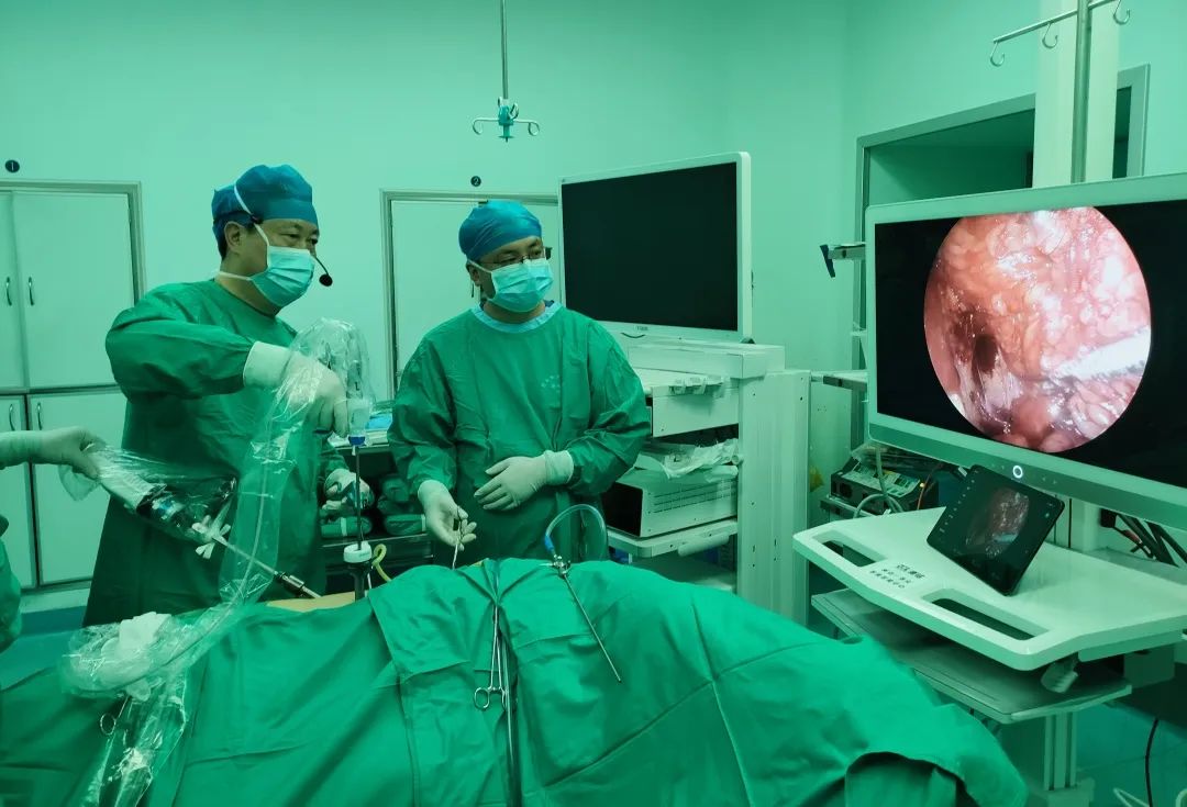 1690773115226056.jpg 1690773115226056.jpg